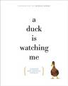 A Duck is Watching Me: Strange and Unusual Phobias