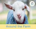 Around the Farm: Today