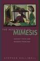 The Aesthetics of Mimesis: Ancient Texts and Modern Problems