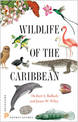 Wildlife of the Caribbean