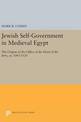 Jewish Self-Government in Medieval Egypt: The Origins of the Office of the Head of the Jews, ca. 1065-1126