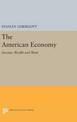 The American Economy: Income, Wealth and Want