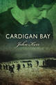 Cardigan Bay