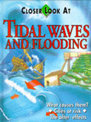 Closer Look at Tidal Waves and Flooding