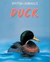 British Animals: Duck