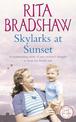 Skylarks At Sunset: An unforgettable saga of love, family and hope