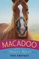 Macadoo: Horses of the Maury River Stables