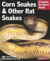 Corn Snakes and Other Rat Snakes