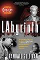 Labyrinth: A Detective Investigates the Murders of Tupac Shakur and Notorious B.I.G., the Implication of Death Row Records' Suge