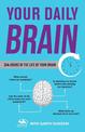 Your Daily Brain: 24 Hours in the Life of Your Brain