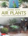 Living with Air Plants