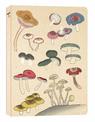 Healing Mushrooms Lined Paperback Journal: Blank Notebook with Pocket