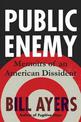 Public Enemy: Confessions of an American Dissident