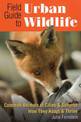 Field Guide to Urban Wildlife