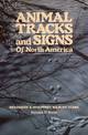 Animal Tracks and Signs of North America