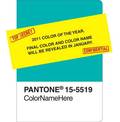 Pantone Color of the Year Journal