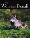 Wolves Of Denali