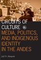 Circuits of Culture: Media, Politics, and Indigenous Identity in the Andes