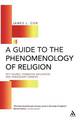 A Guide to the Phenomenology of Religion: Key Figures, Formative Influences and Subsequent Debates