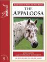 Appaloosa Horse