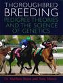 Thoroughbred Breeding: Pedigree Theories and the Science of Genetics