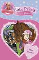 Katie Price's Perfect Ponies: Star Ponies: Book 7