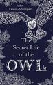 The Secret Life of the Owl: a beautifully illustrated and lyrical celebration of this mythical creature from bestselling and pri