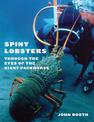 Spiny Lobsters: Through the Eyes of the Giant Packhorse