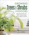 Growing Trees and Shrubs Indoors: Breathe New Life into Your Home with Large Plants