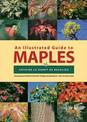 An Illustrated Guide to Maples