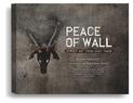 The Peace of Wall: Street Art from East Timor