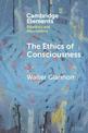 The Ethics of Consciousness