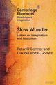 Slow Wonder: Letters on Imagination and Education
