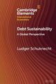 Debt Sustainability: A Global Perspective