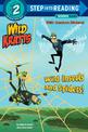 Wild Insects and Spiders! (Wild Kratts)