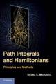 Path Integrals and Hamiltonians: Principles and Methods