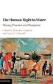 The Human Right to Water: Theory, Practice and Prospects