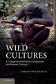 Wild Cultures: A Comparison between Chimpanzee and Human Cultures