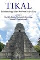 Tikal: Paleoecology of an Ancient Maya City