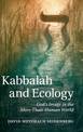 Kabbalah and Ecology: God's Image in the More-Than-Human World