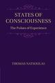 States of Consciousness: The Pulses of Experience