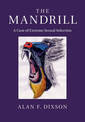 The Mandrill: A Case of Extreme Sexual Selection