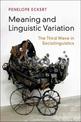 Meaning and Linguistic Variation: The Third Wave in Sociolinguistics