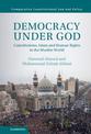 Democracy under God: Constitutions, Islam and Human Rights in the Muslim World