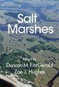 Salt Marshes: Function, Dynamics, and Stresses