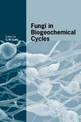 Fungi in Biogeochemical Cycles