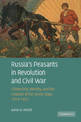 Russia's Peasants in Revolution and Civil War: Citizenship, Identity, and the Creation of the Soviet State, 1914-1922