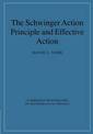 The Schwinger Action Principle and Effective Action