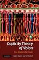 Duplicity Theory of Vision: From Newton to the Present