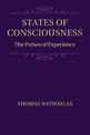 States of Consciousness: The Pulses of Experience